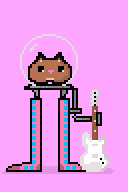 SockStarz Cat | Kitten 0029