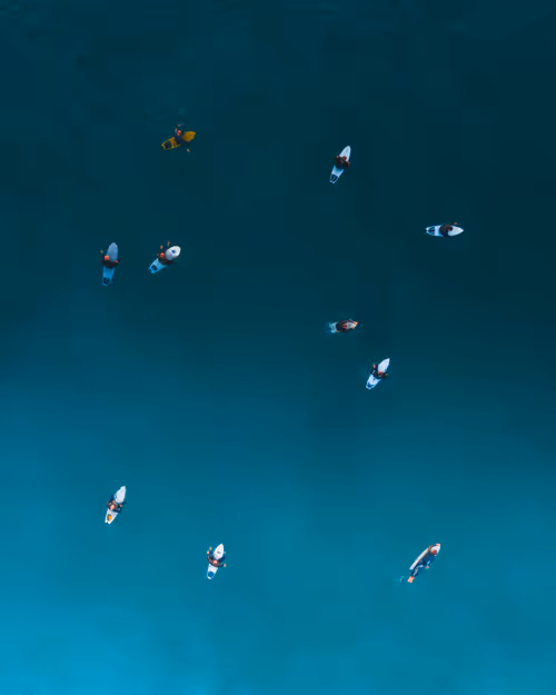 Item #91437098405588457721941204729205929938944474527971886254986814315411810549761 Media