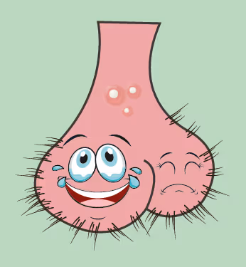 Item #22793047471806318065020766672709763262679883798276267629942526648612875665409 Media