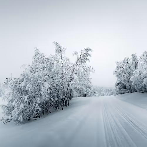 Frozensilence S3h2ODH2c6
