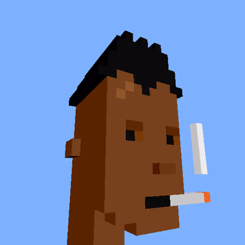 PunkVoxels #0478