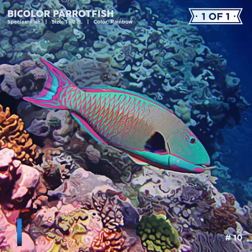 Item #72122608948950586905896945235695353296847960895015423047944334412709948817409 Media