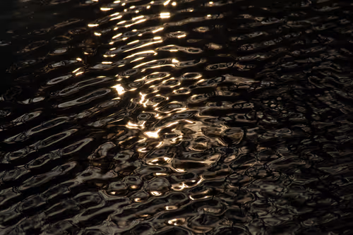 Item #81441334517361708208394031135700195474624799851237506988747108020573295345665 Media