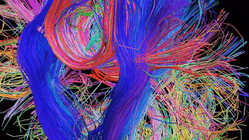 Item #44820903106987093458998790611995561527004783591399631822843358598337654685697 Media