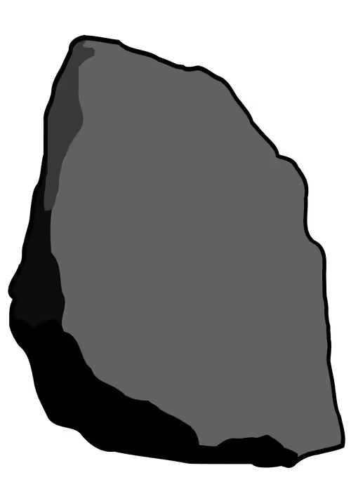 Item #22623894177162817888042754555901329532624218960494726977714582178651869020161 Media