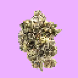 Nug Factory #22