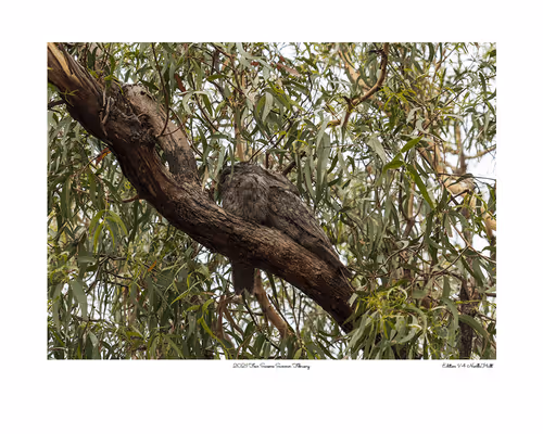 Item #24600310660482288606297797528155087939323639147399647196853483634743213817857 Media