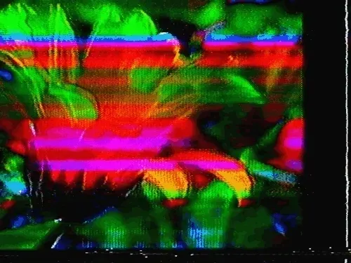 Item #50586045322935652405689262764889663081015802704882758935723149316462731067393 Media