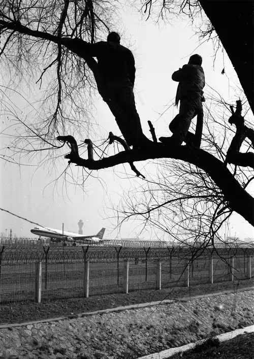 Item #50967930719088419678156761822840198532350151221200574337719960061183539544065 Media