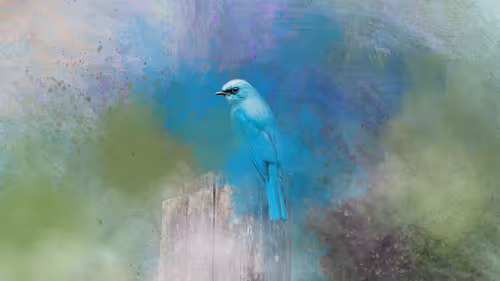 Item #20879904977050231781978559907445915739532146362246903749837269820449891549185 Media