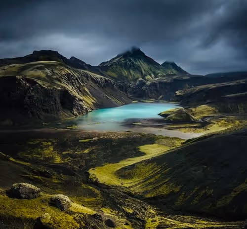 Untitled Collection #147441177