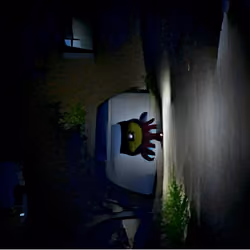 It follows at night 