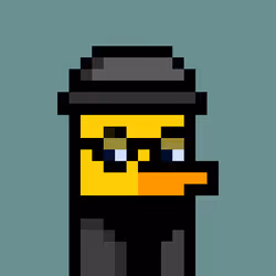 74465914949626719004819234140270633285428984010557290271986608308153636356097