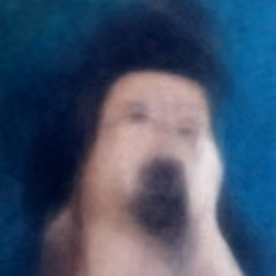 The figure in the shadow #6