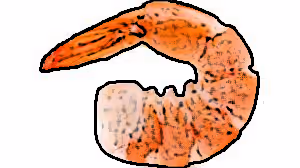 Item #34666895870601966959428909364201480816502352968282215999761892543131811840001 Media