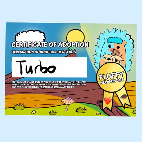Item #82568299303928421953913761626182899451350454358972335949111842523531291131905 Media