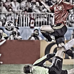 Fernando Torres: Eurocopa 2008
