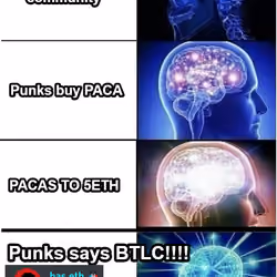 PACA memes #14
