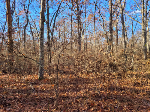 Item #34085441569699423005310991372941828806155687762378495952169943212069476106241 Media