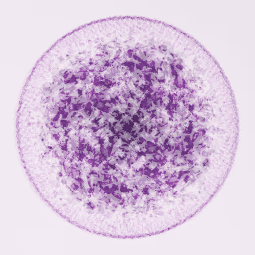 Item #56973419019861600765457047389383188289079904378367063993006434909452773621761 Media