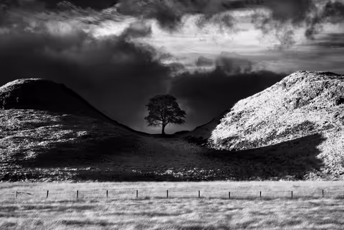 Item #105424874580272350249353180101820695324338341917620358577696675049819005255681 Media