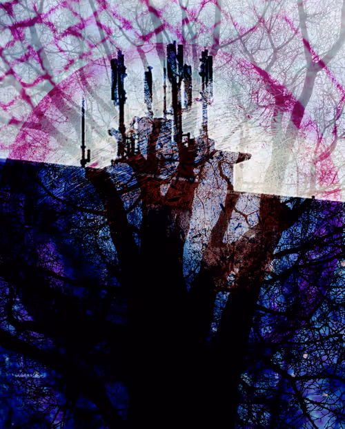 Item #58312433631864427601172952075011378080943056977712016653169188488522718248970 Media