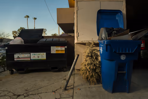 Item #97596376492587480991564299989885194485729582935183473269224319410251887542273 Media