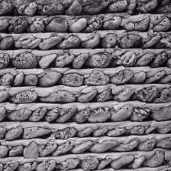 Coral Stone Wall