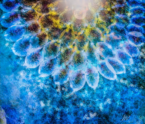 Item #35135057246876855535948544646223135557775389745028522947438532485368793530369 Media