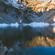 Summers in the Alpine