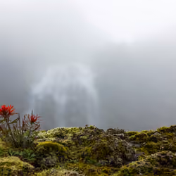 Falls