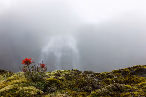 Item #89941232778001750328506202781150262804978379678405675417554418847590452822017 Media