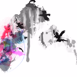Splash #001