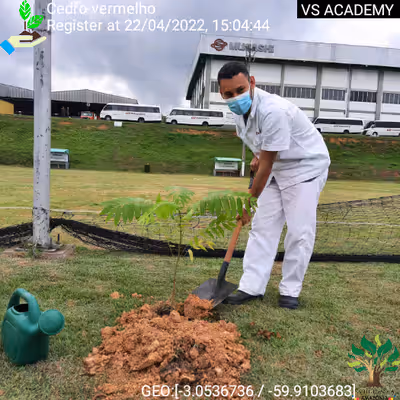 Item #8500196597889277390194123329501889087166328879864934763448348816019732561921 Media