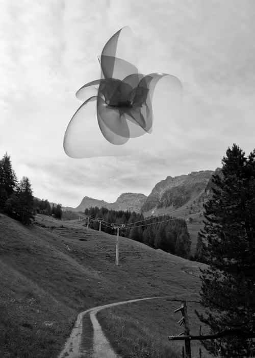 Item #70289046270216540615569387337235414738610929699744131839351085672358987431937 Media