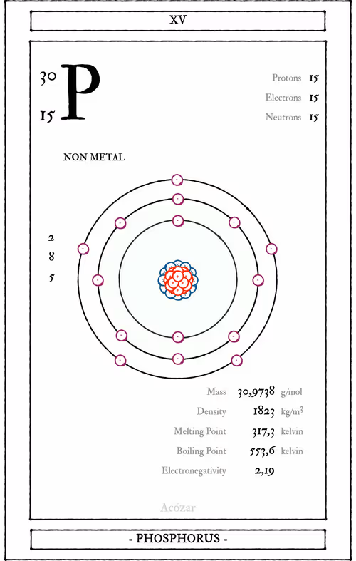 Item #72428202001668189821112342847260883540127111684781981942259052954205363896321 Media