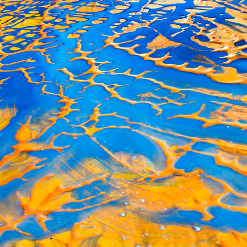 Item #39555325150174100757330711978092095356658009003679986213120678418624930643988 Media