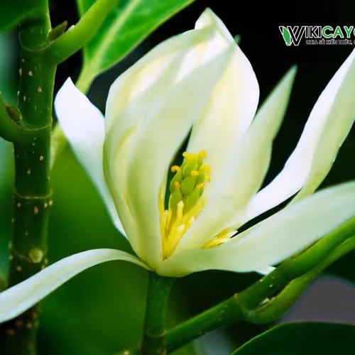 Untitled Collection #1772861910