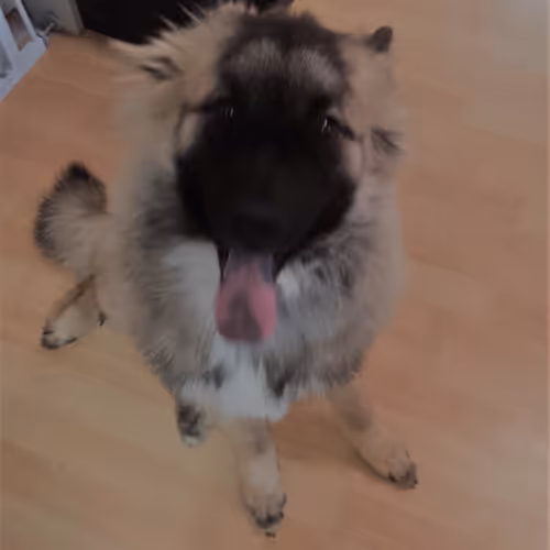 31162040444534190828371582239464133618123531602115762581247895302224926998529