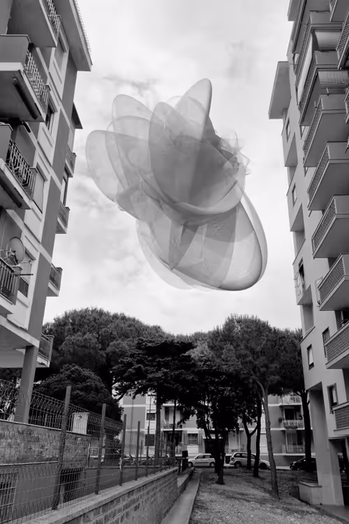 Item #70289046270216540615569387337235414738610929699744131839351085497536638615553 Media