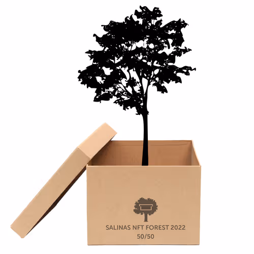 Item #63532776318757439562276927313719991273687356279339277108967620945337535954945 Media