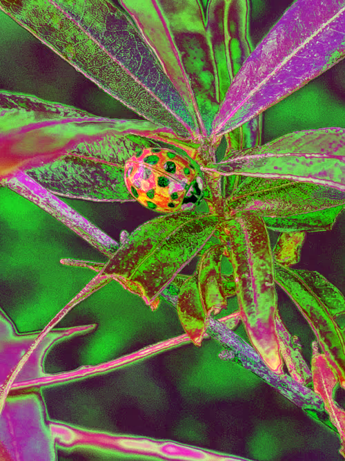 Item #110989330100556245645671416955261820038772575588316729466901671031833769279489 Media