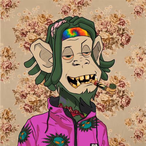 MONKEYHYPE Collection