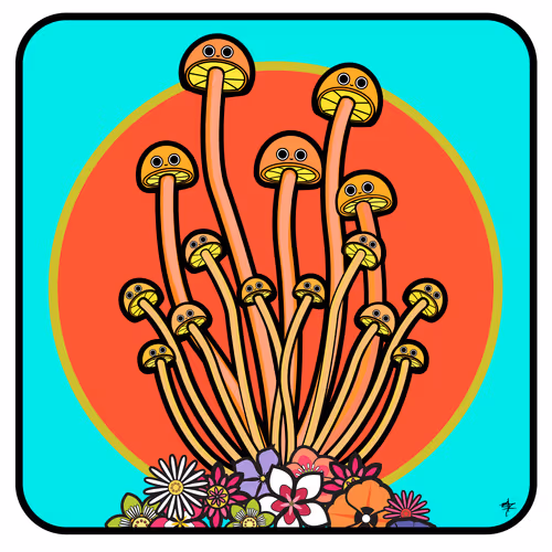 Item #66492061377330858312394959550715582150063143788271338571324127773685444509697 Media