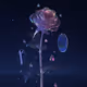ETERNAL BLOOM COLLECTION