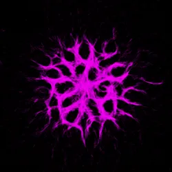 51929734946411346289540790635765095060363125039145709683616697229924984946689