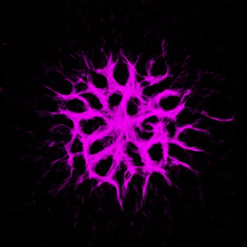 Item #51929734946411346289540790635765095060363125039145709683616697229924984946689 Media