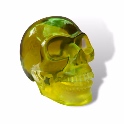 Item #70461142088290827546893108462160056281613253614055342544234748012318110515201 Media