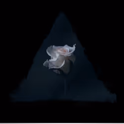 47735831019485783458656614174484110882606090431151176624954731141294836416513