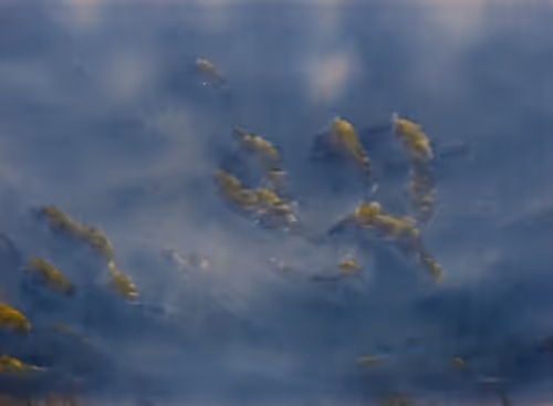 Item #104187044347214565081447912923092922912736086351742324240776807533127867039745 Media